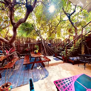  Hostal Holbox Hostal